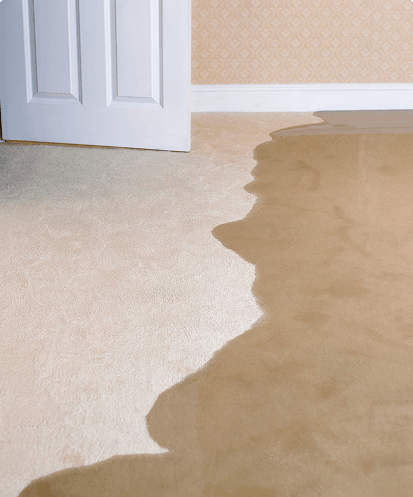 Residential Water<br> Damage Cleanup
